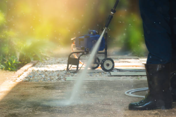 Best Animal Enclosure Cleaning  in Castle Hills, TX